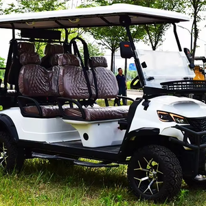 Carrito de Golf Eléctrico TongCai de Nuevo Diseño, 48V, 6 Plazas, Utilitario, con Certificación CE, Alcance de 90 km, Distancia al Suelo de 300 mm - Product Image 4