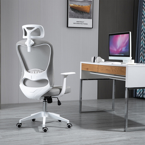 <span class=keywords><strong>Sillas</strong></span> Ergonómicas OEM <span class=keywords><strong>para</strong></span> <span class=keywords><strong>Oficina</strong></span>, Silla de <span class=keywords><strong>Oficina</strong></span> Moderna de <span class=keywords><strong>Color</strong></span> <span class=keywords><strong>Rosa</strong></span>, Silla de <span class=keywords><strong>Oficina</strong></span> Transpirable de Malla con Reposacabezas - Product Image 6