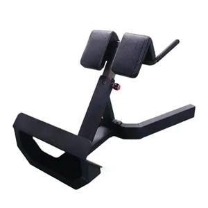 Équipement de fitness de haute qualité à 45 degrés chaise romaine inverse Hyper Extension bancs <span class=keywords><strong>d</strong></span>'exercice du bas du <span class=keywords><strong>dos</strong></span> - Product Image 1