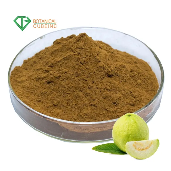 แหล่งจัดหา psidium guajava ผลไม้ฝรั่งผงมาตรฐาน guava extract