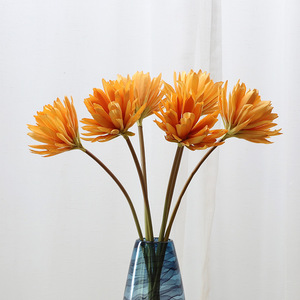 Cereus Notturno Fiorito <span class=keywords><strong>di</strong></span> <span class=keywords><strong>Notte</strong></span>, <span class=keywords><strong>Fiore</strong></span> Artificiale all'Ingrosso per Decorazioni Domestiche - Product Image 1
