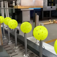 Hersteller von Pickleball-Formen und PVC-Spielzeugball-Rotationsgussmaschinen