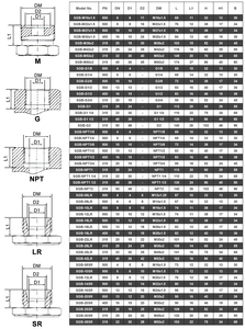 Vanne à boisseau sphérique manuelle à 2 voies en acier inoxydable forgé au titane DN15 40Mpa, raccordement NPT, pour eau haute température, OEM - Product Image 2