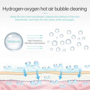 Appareil de soin de la peau <span class=keywords><strong>portable</strong></span> NewFace, norme européenne, vente chaude, élimination des points noirs, lifting du visage, utilisation à domicile, <span class=keywords><strong>machine</strong></span> de beauté faciale Hydra - Product Image 5