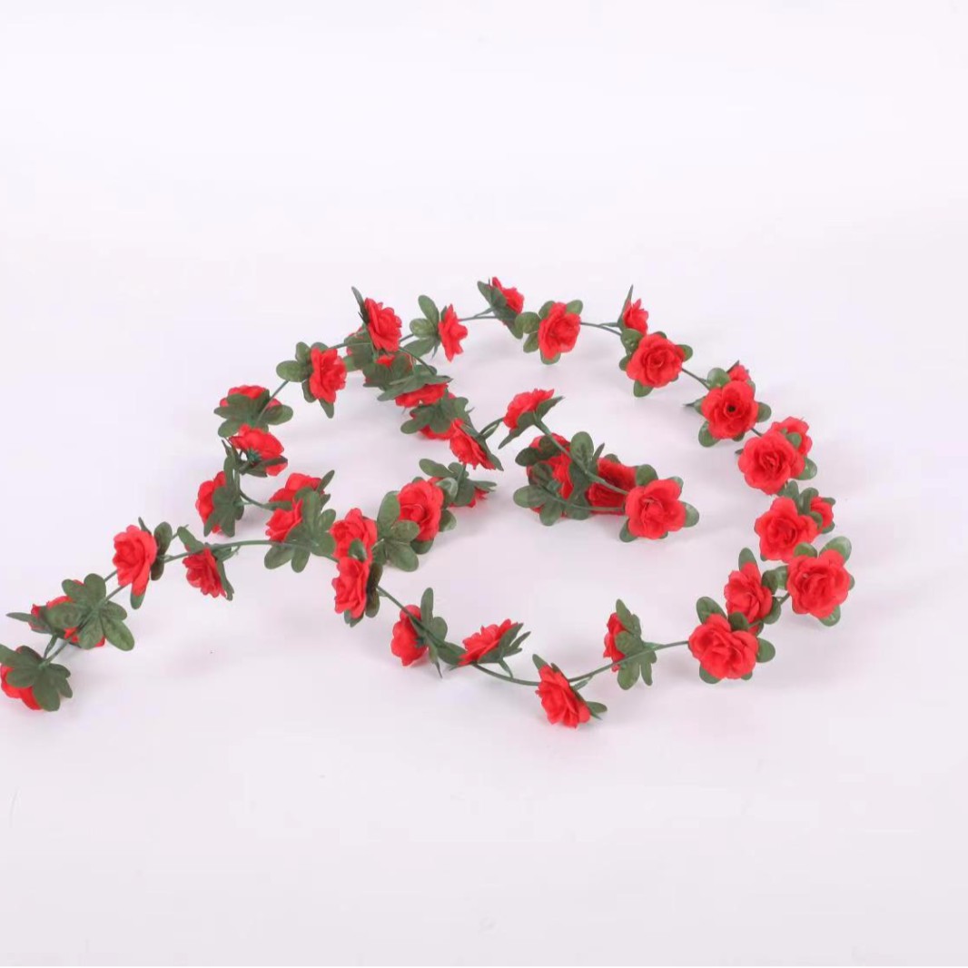 45 têtes de roses rouge vif [best-seller amazon]