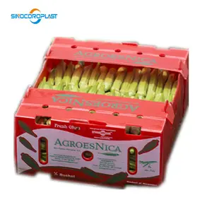 Plastic Quiabo Okra Packaging Boxes For Packing Okra