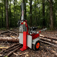 Machine Industrielle de Sciage et Fendage de Bûches de Bois de Forêt 30T
