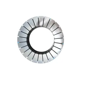 Eksenel akı stator/eksenel stator/eksenel stator üreticisi