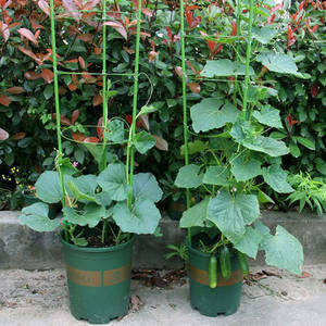 Tuinieren Benodigdheden Bloem Decoratieve Trellis Plant Ondersteuning Klimrek Plant Frame Huis Multi-Functioneel Duurzaam Metaal - Product Image 5