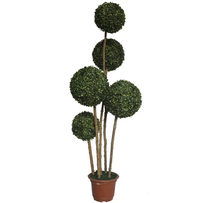 Milano erba piante ornamentali decorativo per la casa di pianta in vaso di legno di bosso arte topiaria piante