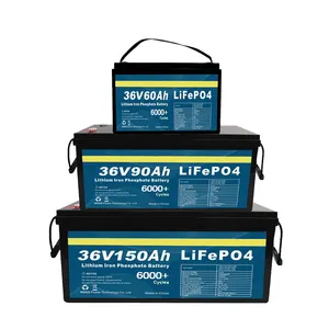 Oem 12v 24v 36v 48v 72v长寿命Lifepo4可充电锂离子存储36v 90ah锂离子电池32700 Lifepo4电池