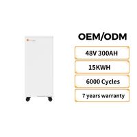 Batería de Almacenamiento de Energía para el Hogar Felicity Solaire de 15kva, ¿Cuánto Cuestan las Baterías de Litio de 48v 300ah?