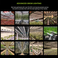 Flexstar 720W 4x6ft Couverture 2.8umol/J Daisy-Chain Ip66 Dimmable Full Spectrum Led Grow Light avec une garantie de 5 ans
