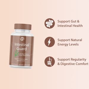 Cápsulas de Protección Intestinal OEM/ODM con Artemisa, Nuez Negra y Ajo, Apoyo para la Salud Intestinal y el Equilibrio Digestivo - Product Image 3
