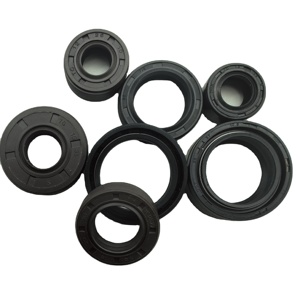 Fabricants de joints d'huile en caoutchouc personnalisés NBR/FKM, Types TG TC TB VC VB disponibles pour les machines - Product Image 1