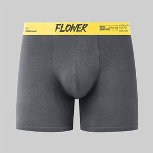 2024 nueva ropa interior masculina de algodón ajustada elástica personalizada, Calzoncillos Bóxer largos, bragas cómodas lisas sin costuras para hombres, ropa interior - Product Image 6
