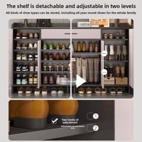 Meuble à chaussures moderne, armoire intégrée pour entrée, grande capacité, meuble d'entrée pour maison de location, étagère à chaussures pour couloir