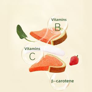 Vente chaude 480g Pastèque Toast Petit Déjeuner Pain <span class=keywords><strong>Snack</strong></span> Confiture De Fruits Sandwich Toast Pain - Product Image 2
