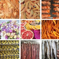 Séchoir alimentaire industriel, 16 plateaux, qualité alimentaire, ml, machine de séchage de fruits