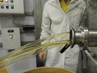 Miel de fleurs sauvages naturel IBC 1400 kg prêt à l'emploi pour l'industrie FABRIQUÉ en ITALIE Qualité supérieure Sélection GVERDI