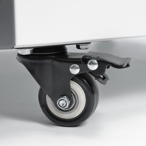 Incubadora Climática Artificial LICHEN, Controle PID e Umidificador Ultrassônico, 5-60 ° Câmara de Crescimento Laboratorial para Plantas/Células com 50-90% de Umidade Relativa - Product Image 5