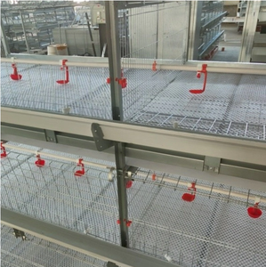 Cage à poules en métal galvanisé écologique à grande capacité, 3-4 niveaux, 6 pieds, avec service <span class=keywords><strong>de</strong></span> modélisation 3D pour volailles - Product Image 3