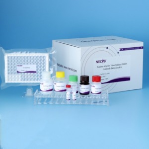 Ngựa viêm động mạch virus kháng thể Elisa Kit | eav gián tiếp kiểm tra | 96t thú y Kit chẩn đoán - Product Image 3