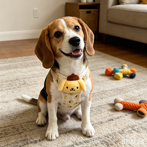 Correa P-Leash a Precio de Fábrica para Perros Pequeños/Medianos, Material Tipo Nylon para Teddy, <span class=keywords><strong>Cocker</strong></span> Spaniel y <span class=keywords><strong>Golden</strong></span> Retriever - Product Image 3