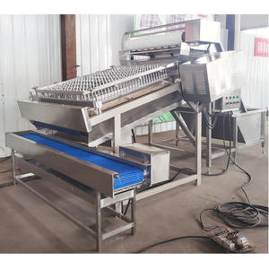 Macchina Elettrica per Rimuovere la Buccia dei Gamberetti, Pelatrice per <span class=keywords><strong>Pulizia</strong></span> del Gamberetto - Product Image 5