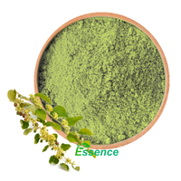 Poudre naturelle Qasil pour les soins de la peau Poudre originale Qasil 80 Mesh Pure Gob Tree Leaves Powder