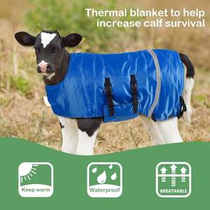Abrigo para Terneros de Marca Propia, Chaqueta de Invierno para Terneros, Manta Térmica, Ropa de Invierno para Ganado, Kalbsfell, Impermeable y Cortavientos - Product Image 3