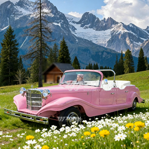 Voiture électrique de tourisme rétro vintage à coussinets souples de qualité supérieure, navette écologique pour le transfert des invités du club de campagne - Product Image 4