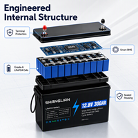 Batterie LiFePO4 12,8 V 300 Ah avec BMS intelligent intégré, batterie au phosphate de fer et de lithium à décharge profonde pour solaire, camping-car et marine.