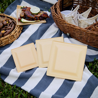 100% Vaisselle en papier jetable biodégradable Bagasse de canne à sucre Ensembles d'assiettes jetables Vaisselle