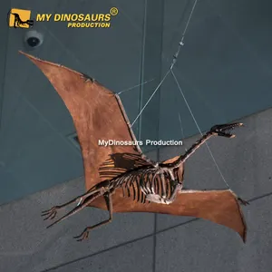 My Dino AA679ชีวิตขนาดเรซิ่นแขวนแบบจำลองโครงกระดูก Pteranodon