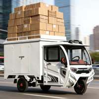 Tricycle électrique de fret 800W EEC, grande capacité de charge, type fermé, tricycle électrique à 3 roues