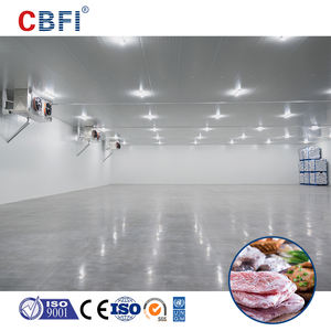 Projet de chambre froide personnalisée, conteneur de congélation, chambre froide à congélation rapide, avec une capacité minimale de 500 mètres cubes - Product Image 3