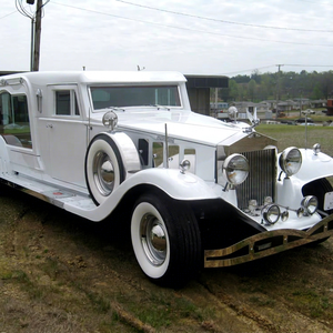 Cercueil funéraire de luxe, cercueil électrique de haute qualité, prix d'usine bas, transport spécial - Product Image 1