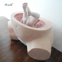 Maniquí de enfermería, simulador de entrenamiento de partería, modelo de entrenamiento de cirugía, modelo de enfermería femenina, modelo de educación de Ciencias Médicas