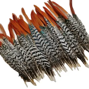 Женские перья Амхерст, перья фазана, красные верхние перья хвоста для шляпы, отделка перьев, головные уборы