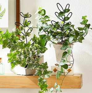 2 supports de pot en fer, <span class=keywords><strong>support</strong></span> de plantes de jardin, cadre de <span class=keywords><strong>support</strong></span> pour plantes grimpantes, <span class=keywords><strong>support</strong></span> de pot de fleurs, poteau fixe de jardin - Product Image 1