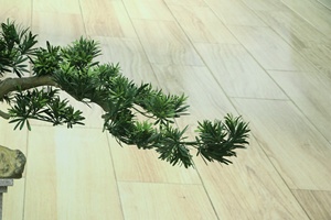 Plantes Artificielles Bonsaï Pin Artificiel pour la Maison, Plantes en Pot d'Accueil, Pin <span class=keywords><strong>Japonais</strong></span> pour Décoration de Bureau et <span class=keywords><strong>Jardin</strong></span> - Product Image 4
