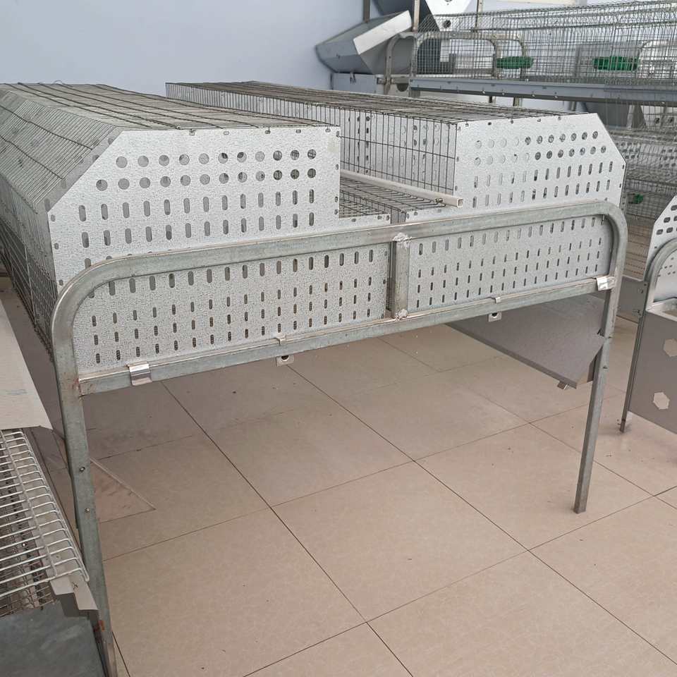 Hot Galvanized Rabbit Cages - Durable & Versatile Solutions