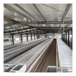 Cage d'élevage de poulets, nouveau Type, fabrication automatique de couches, équipement d'élevage de volaille, <span class=keywords><strong>prix</strong></span> attractif - Product Image 6