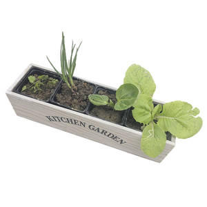 Jardinière de cuisine VERTAK, pot de jardin, boîte à fenêtre, jardinière <span class=keywords><strong>en</strong></span> <span class=keywords><strong>bois</strong></span> pour fleurs, légumes, épices - Product Image 2