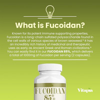 Capsules de Fucoidan Poudre d'extrait de Fucoidan de soutien de force de santé immunitaire de supplément de soins de santé Offres Spéciales Capsules de Fucoidan