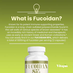 フコイダンカプセル健康補助食品フコイダンエキス粉末フコイダンカプセル - Product Image 4