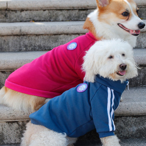 Sudadera con capucha estilo campus para perros, azul y rojo retro, deportiva y moderna, ropa para mascotas para todas las estaciones, para Teddy, Bichón, Schnauzer, Corgi - Product Image 1