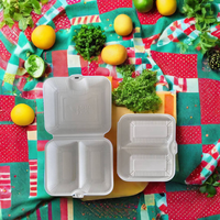 Boîte à lunch jetable moderne en plastique de 9 pouces, 2 compartiments, couvercle à charnière, écologique, pour plats à emporter, pique-nique, emballage alimentaire, rangement