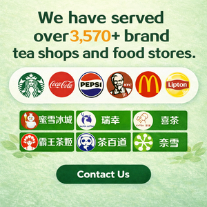 Vasos de Plástico PET Transparente Personalizados al por Mayor, 330 ml/500 ml, Latas Vacías Transparentes <span class=keywords><strong>para</strong></span> Jugos, Café, Refrescos, <span class=keywords><strong>Bebidas</strong></span> Energéticas - Product Image 6